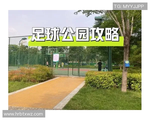 足球绿化公园打造绿色生态空间促进社区健康生活新方式